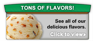 Flavors_Bnnr.jpg